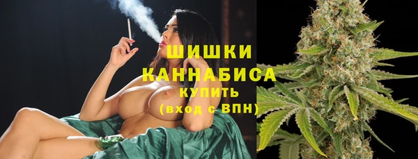 дживик Сатка
