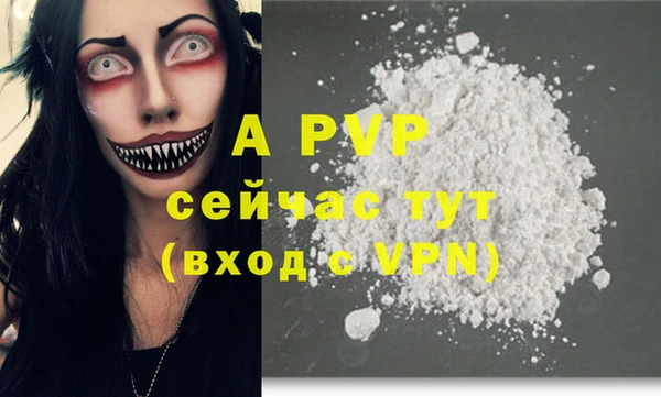 прущие грибы Белокуриха
