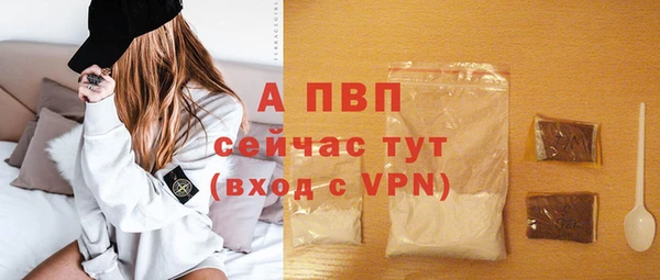 дживик Сатка