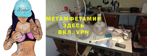 прущие грибы Белокуриха