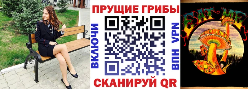 Галлюциногенные грибы Magic Shrooms  где купить наркоту  Железногорск-Илимский 